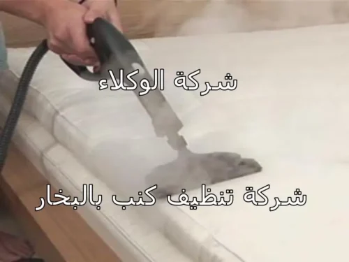 شركة تنظيف كنب بالرياض 2 تنظيف كنب بالبخار