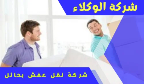 شركة نقل اثاث بحائل